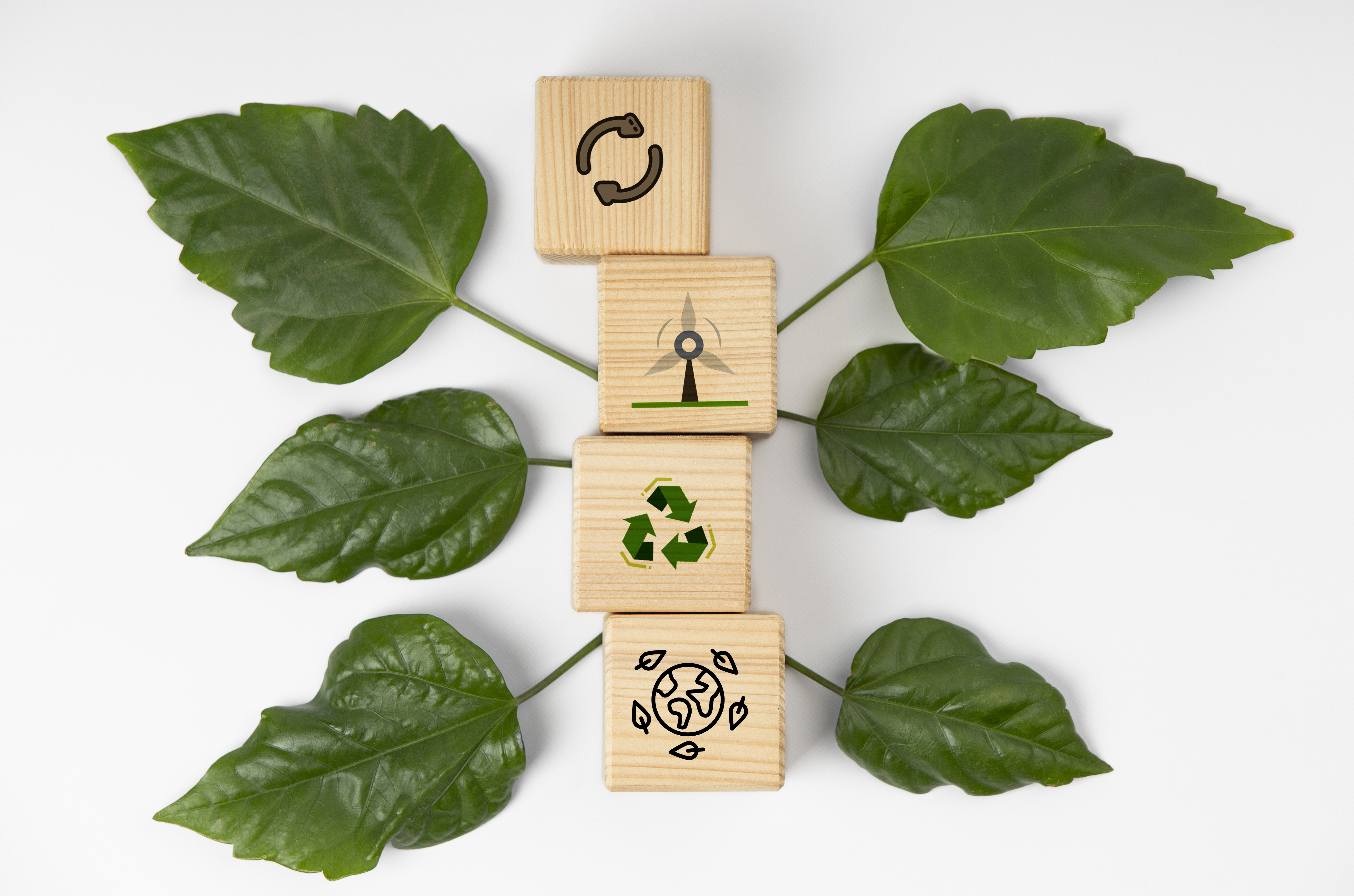 Greenify Your Grind: Sustainable Business Initiatives for a Thriving Future